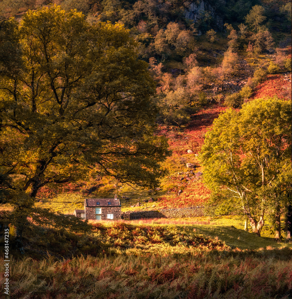 autumn in the mountains autumn in the mountains