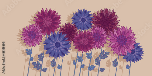 Chrysanthemum and aster autumn flowers header