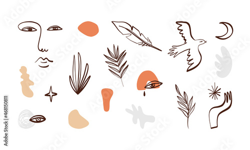Line art minimalistic design elements set. Sketch style tree brunches  leaf  feather  dove  woman abstract portrait.