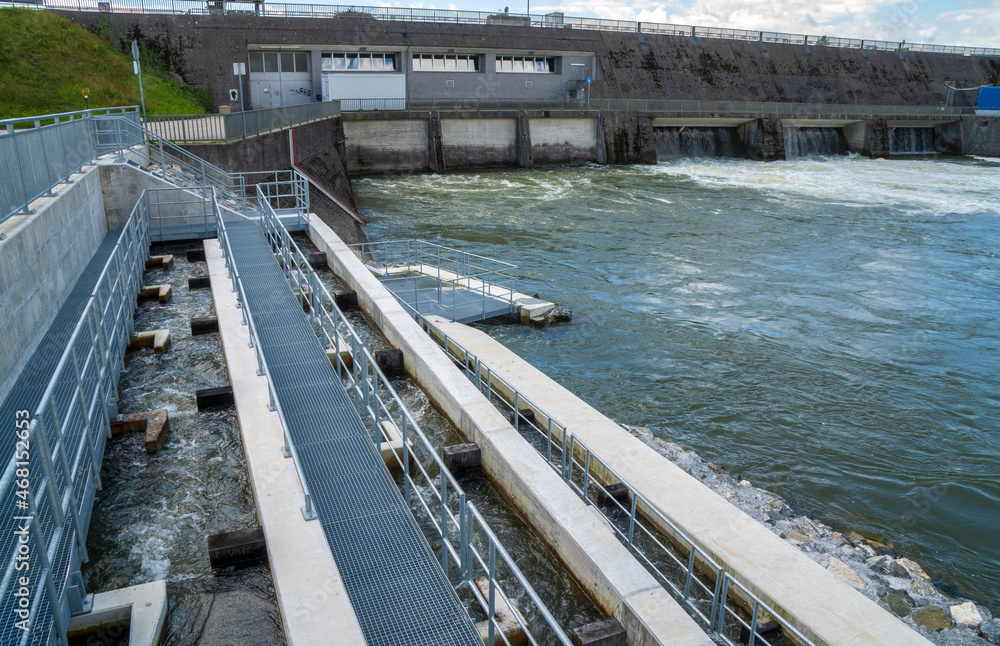 fish ladder for migration and spawning at river