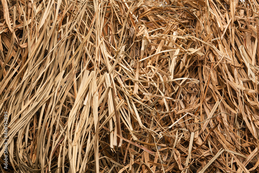 Closeup of dried hay as background, top view