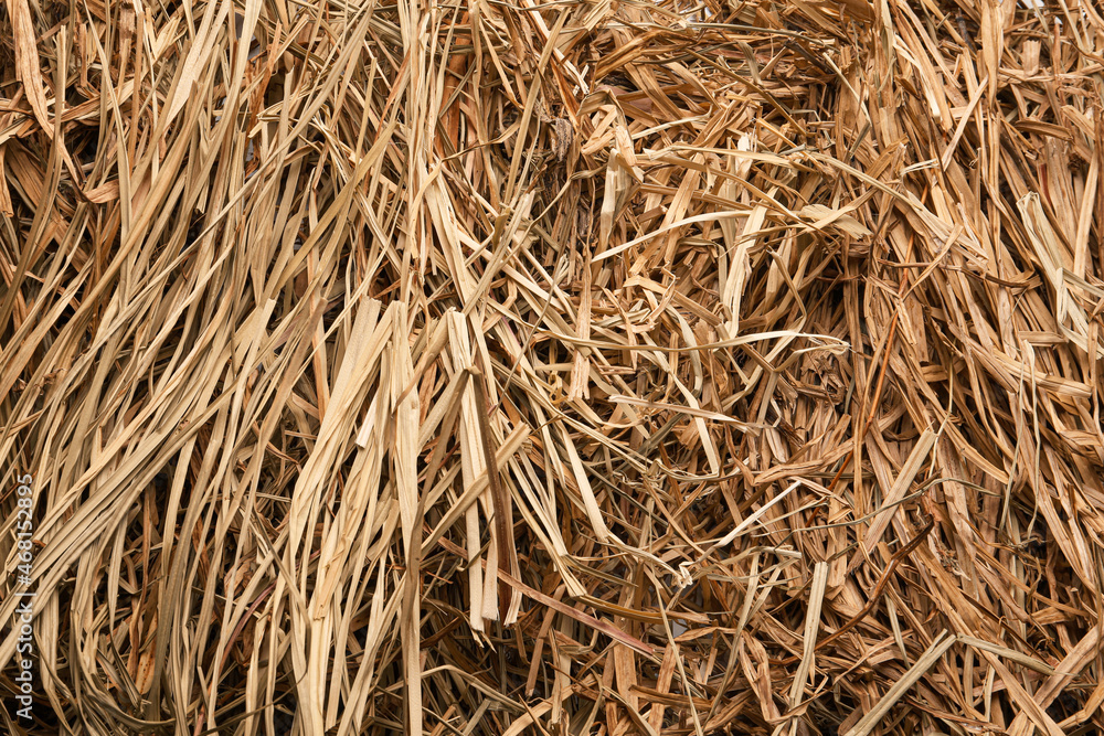 Closeup of dried hay as background, top view Closeup of dried hay as background, top view