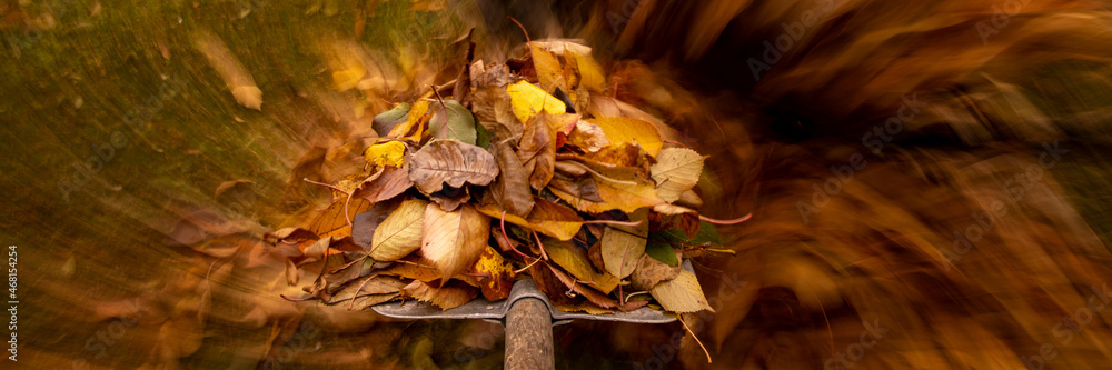 Autumn in the garden. Shovel with fallen leaves in motion over the grass of a yard. Yardwork banner. Autumn in the garden. Shovel with fallen leaves in motion over the grass of a yard. Yardwork banner.