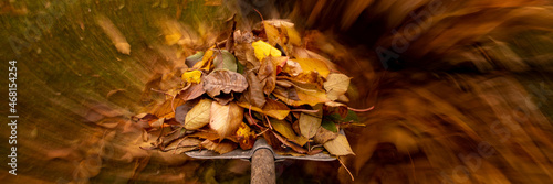 Autumn in the garden. Shovel with fallen leaves in motion over the grass of a yard. Yardwork banner.