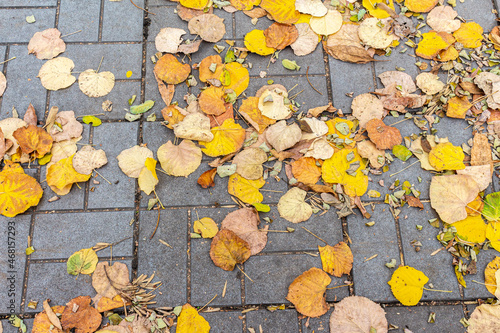 Colorful autumn leaves on a tiles