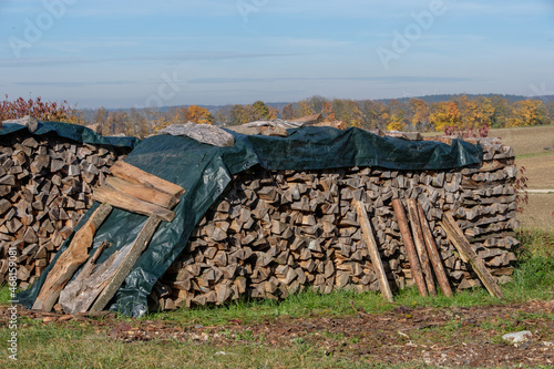 Ein Holzstapel ist mit einer grünen Plane abgedeckt / Holzwirtschaft: Gestapeltes Brennholz / Meterholz (Holzlager / Wintervorrat) photo