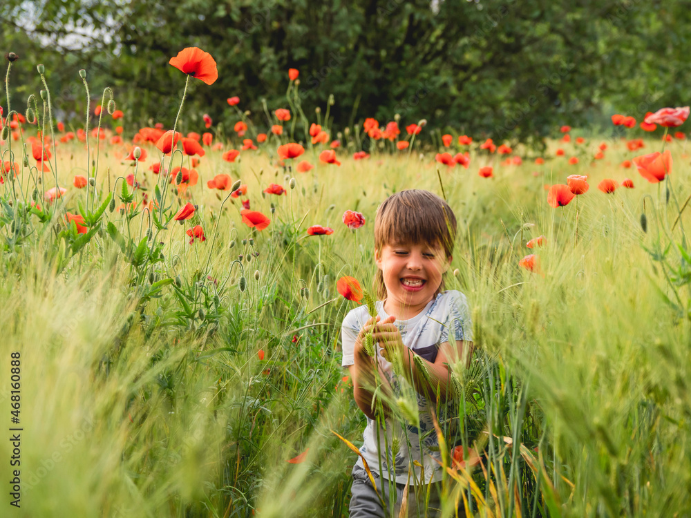 Little boy sees poppies first time in his life. Rye field with red flowers at sunset. Sincere kid's emotions. Child explores nature at warm season. Little boy sees poppies first time in his life. Rye field with red flowers at sunset. Sincere kid's emotions. Child explores nature at warm season.