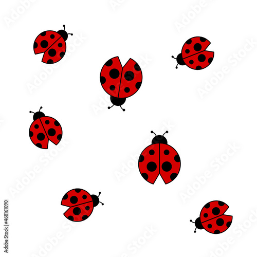 Set of ladybugs isolated on the white background