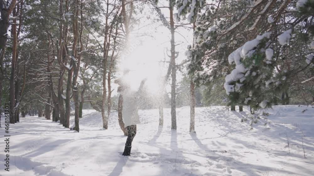 Young girl collects snow in her hands and throws it up. White fluffy snow sparkles in sun's rays. Woman is played with snow in snowy pine forest on sunny day. Beautiful winter nature. Slow motion. Young girl collects snow in her hands and throws it up. White fluffy snow sparkles in sun's rays. Woman is played with snow in snowy pine forest on sunny day. Beautiful winter nature. Slow motion.