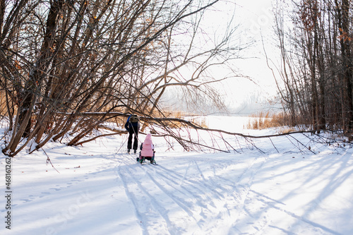 Family rides in winter forest. Young man on skis rides little girl on children s sled on snow-covered road near river  rear view. 