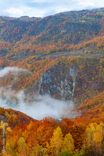 autumn landscape with morning fogs in dumesti, alba county, romania