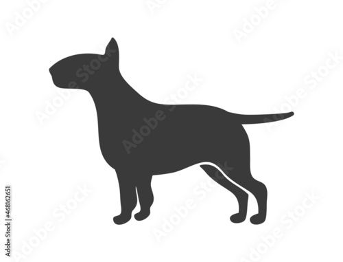 Bull terrier silhouette. Black dog outline, what pet, vector icon