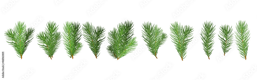 A set of Christmas tree green branches for a Christmas decor. Branches fir tree, pine isolated. - obrazy, fototapety, plakaty 