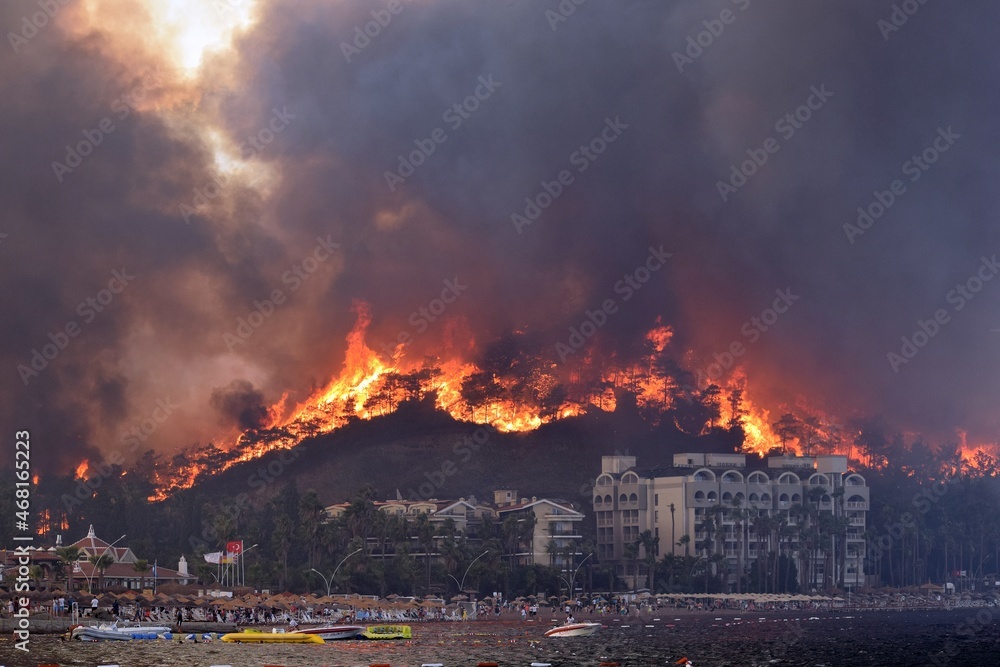Obraz premium Forest fire in the resort village of Ichmeler.