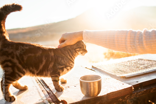 Photography woman with wild cat in the nature