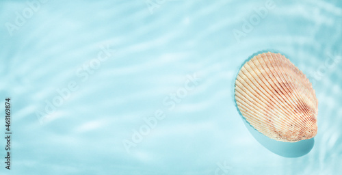 Single seashell on blue background with underwater ripped shadows  top view  copy space