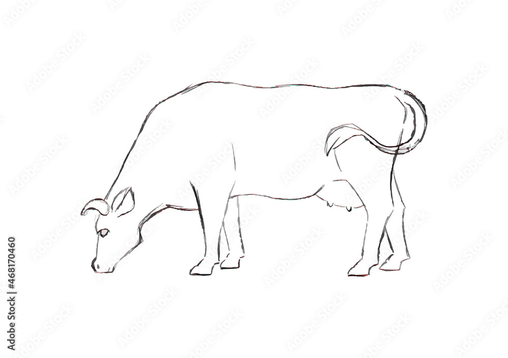 Farm animal. Cow sketch. Hand drawn. Black and white vector illustration isolated on white background. Farm animal. Cow sketch. Hand drawn. Black and white vector illustration isolated on white background.
