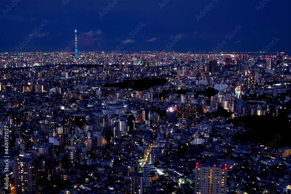 スカイツリーを入れた東京の夜景