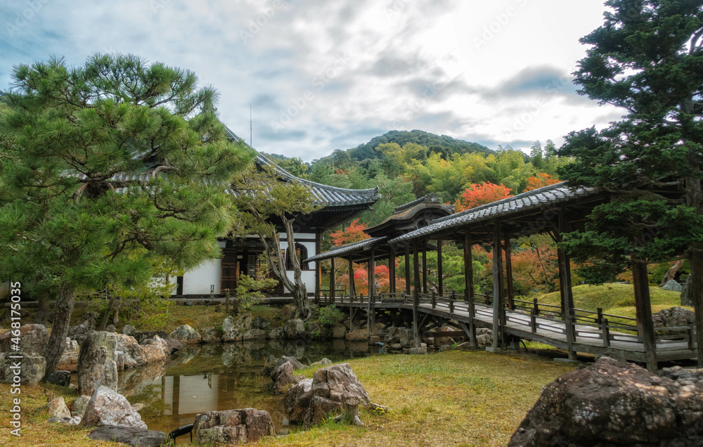 秋の京都、高台寺の庭園と開山堂、観月台、偃月池が見える風景