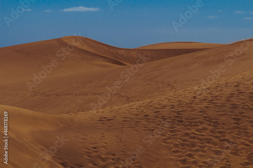 Sand waves in dunes in Maspalomas in Canary Islands 