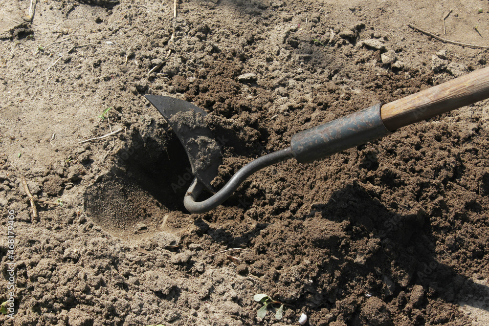 A close-up of a hoe gardening tool loosening the soil, digging a hole for planting. Digging a hole, preparing the soil for planting A close-up of a hoe gardening tool loosening the soil, digging a hole for planting. Digging a hole, preparing the soil for planting