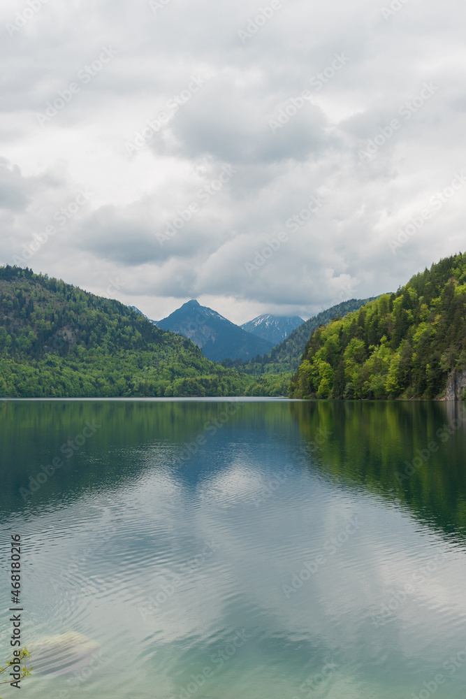Alpine forest near Neuschwanstein castle and Hohenschwangau castle. Bavarian alps in springtime, mountain Tegelberg. Alpine forest near Neuschwanstein castle and Hohenschwangau castle. Bavarian alps in springtime, mountain Tegelberg.