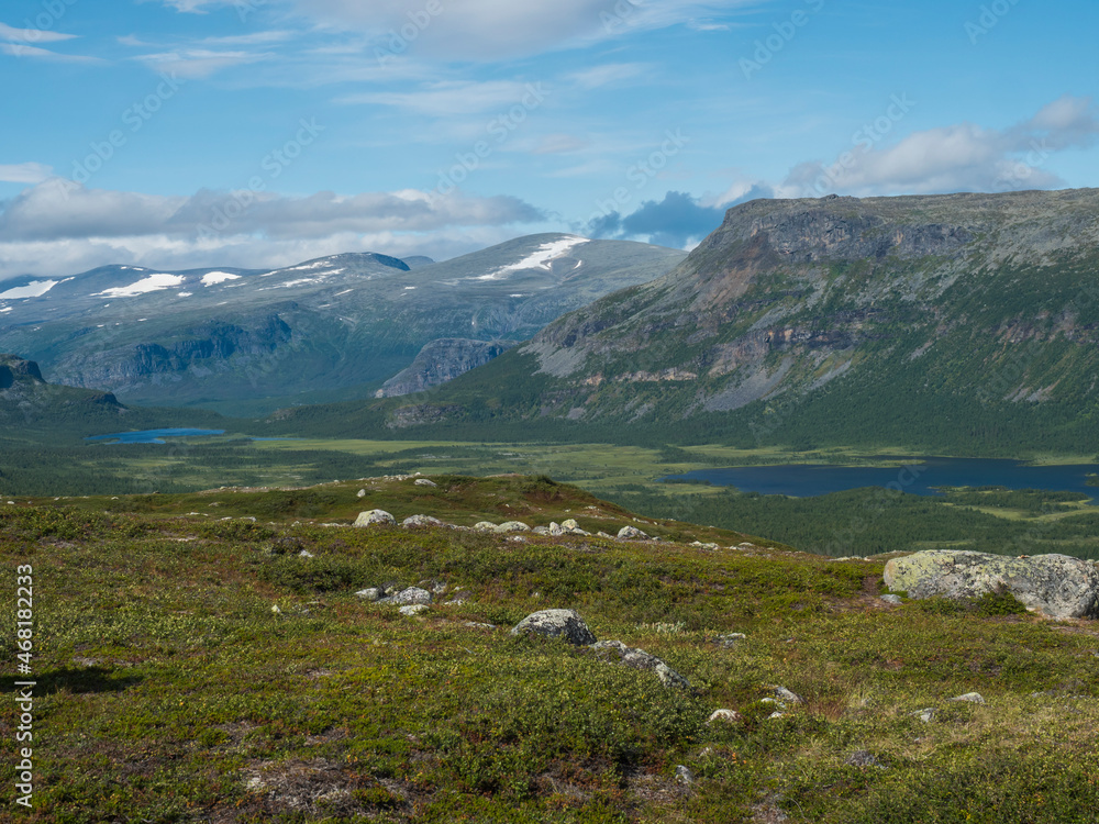 View on meandering Rapadalen river delta to Lajtavrre lake, valley in Sarek national park, Sweden Lapland. Nordic wild landscape with mountains, hill, rocks and birch trees. Summer sunny day, blue sky
