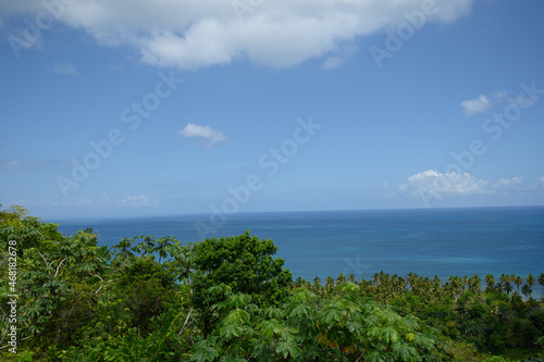 diorama forest outdoor park nature atlantic ocean. The photo was taken from a high point in the mountains of the Dominican Republic to the ocean. The prospect turned out to be great, very beautiful