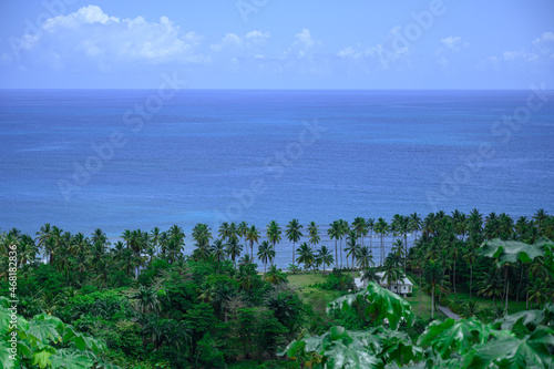 marine landscape view woodland environment light day. The photo was taken from a high point in the mountains of the Dominican Republic to the ocean. The prospect turned out to be great, very beautiful