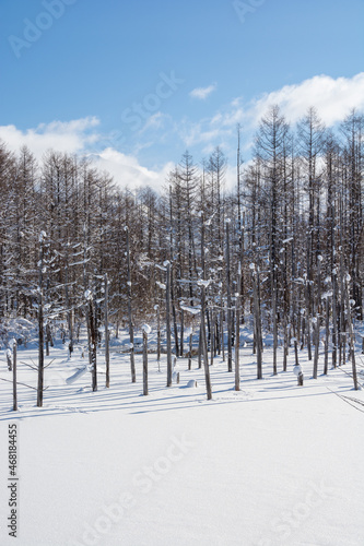 雪に覆われた青い池　美瑛町  © kinpouge