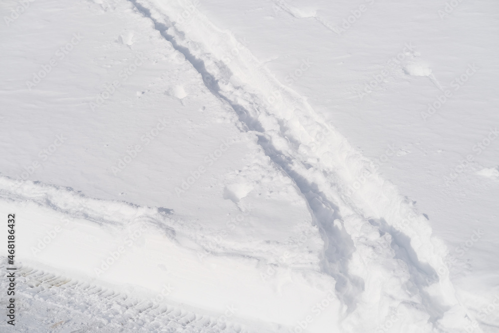 fluffy white snow with prints of animal footprints, beautiful winter landscape, snowfall in forest, hunter, tracker is tracking the game, Heath and Winter Activity Concept, travel fluffy white snow with prints of animal footprints, beautiful winter landscape, snowfall in forest, hunter, tracker is tracking the game, Heath and Winter Activity Concept, travel