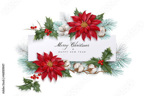 Merry Christmas background with christmas flowers