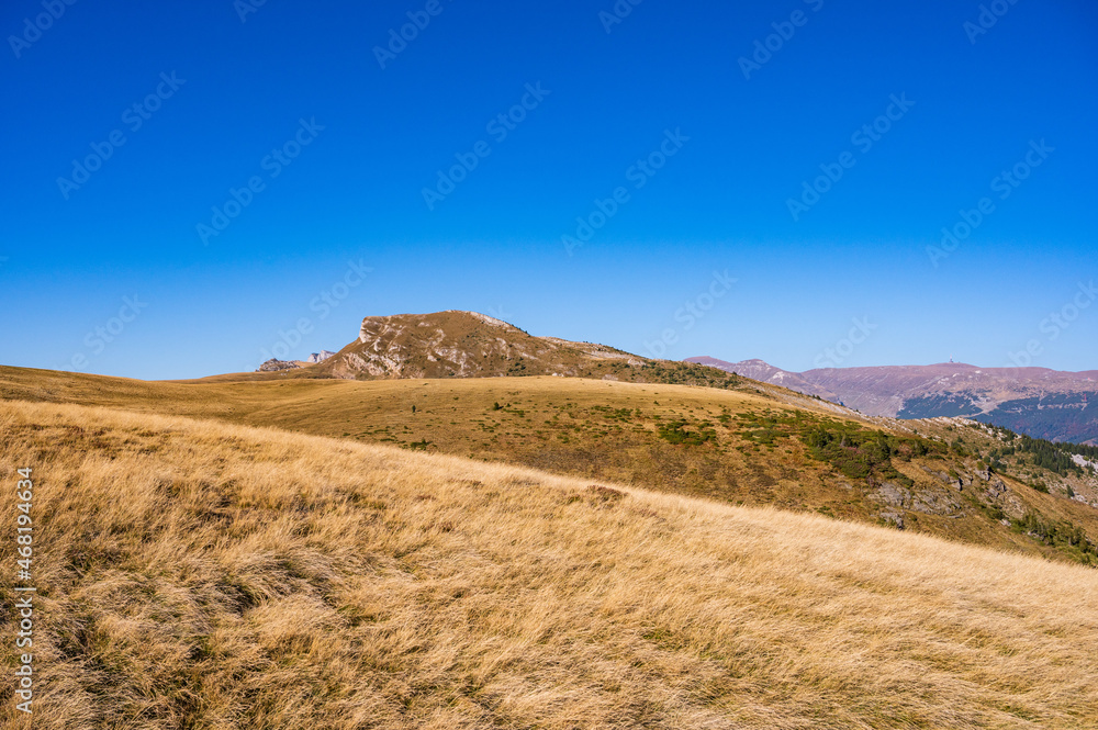 Alpine Bergwiesen in den rumänischen Karpaten bei Brasov, Transilvanien Alpine Bergwiesen in den rumänischen Karpaten bei Brasov, Transilvanien