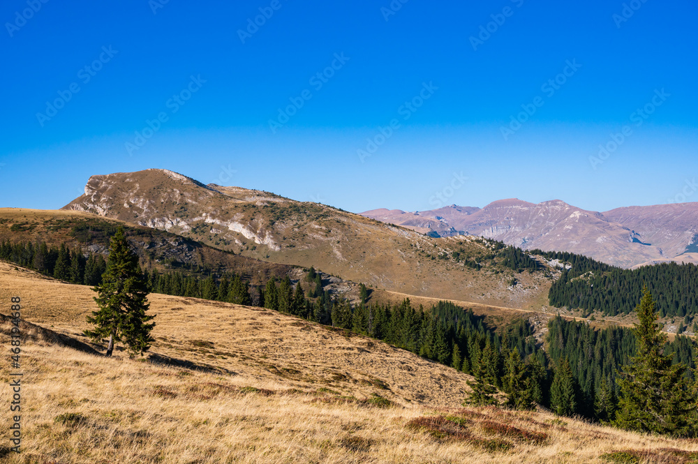 Schrumpfende Waldbestände in rumänischen Karpaten durch Abholzung