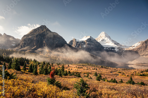 Mount Assiniboine with foggy in autumn forest at provincial park