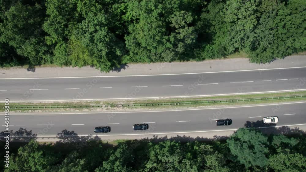 A motorcade of the cars on the highway, the forest on background. High quality. 4k A motorcade of the cars on the highway, the forest on background. High quality. 4k