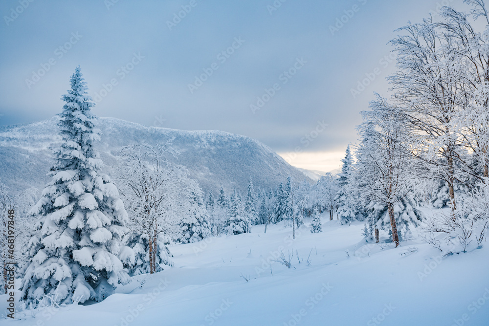 Tranquil scenery in the mountains after the snowstorm, Gaspesie, QC, Canada Tranquil scenery in the mountains after the snowstorm, Gaspesie, QC, Canada
