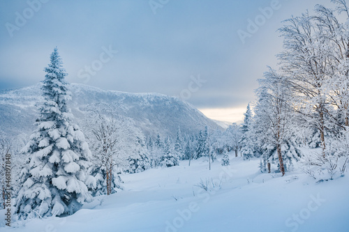 Tranquil scenery in the mountains after the snowstorm, Gaspesie, QC, Canada