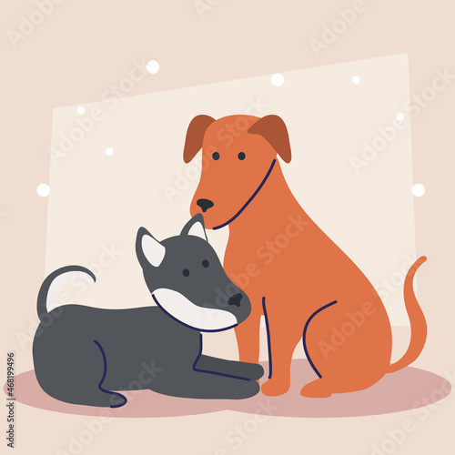 cute dogs pets