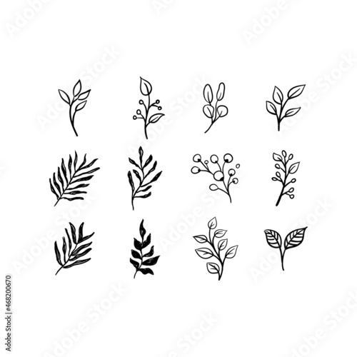 Floral graphic elements vector set. Flowers and plants hand drawn illustrations. Nature ornaments.