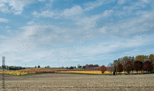 Autumnal vineyards and  harvested corn fields on the rolling hills of Bologna countryside. Crespellano, Bologna province, Emilia-Romagna, Italy photo