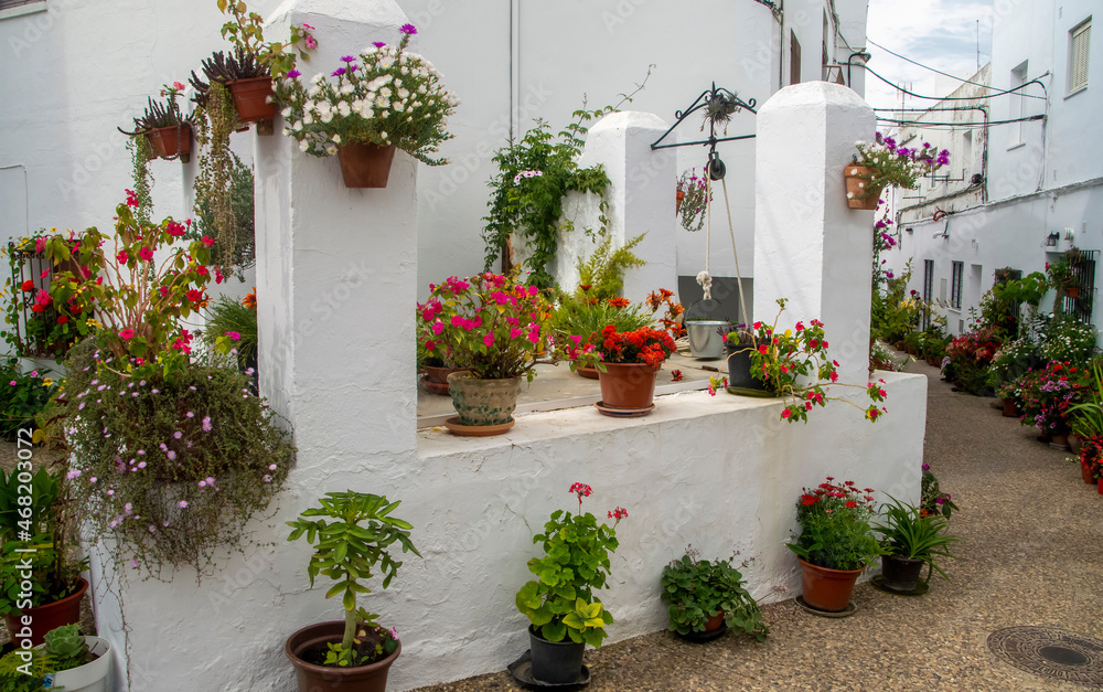 Naklejka premium Street with flowers