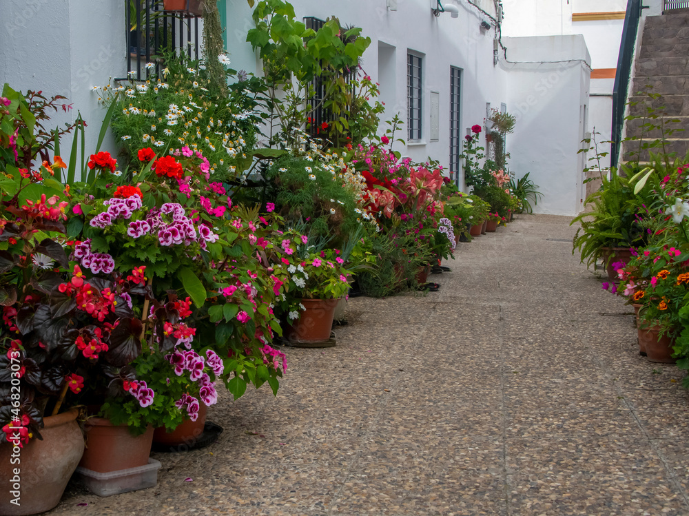 Street with flowers