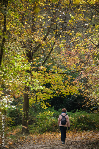 Automne © Franck Chapolard