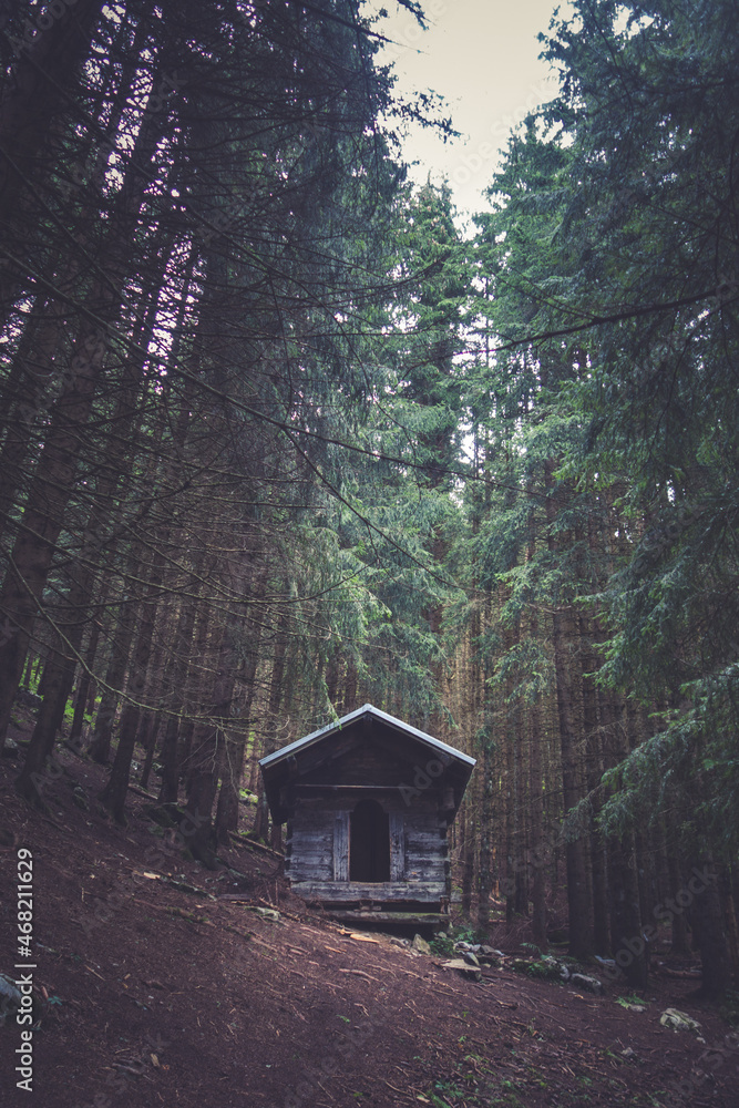 Small wooden cabin in a dark fir forest Small wooden cabin in a dark fir forest