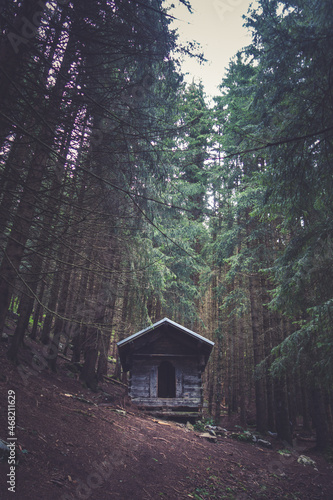 Small wooden cabin in a dark fir forest
