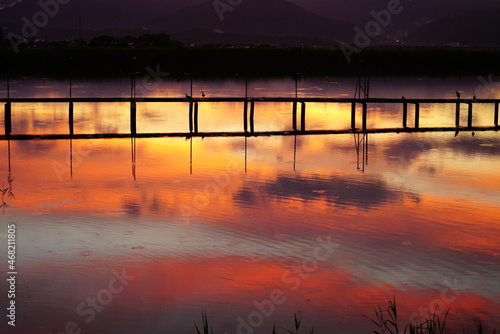 Evening view of the reservoir	 photo