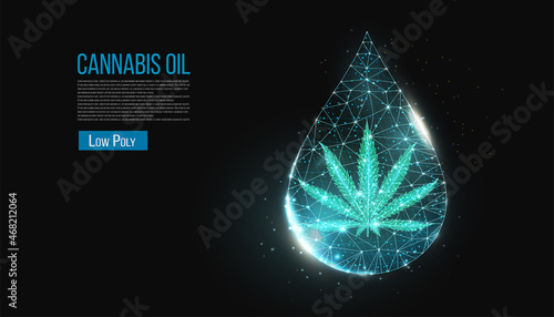 Cannabis oil concept. Low poly hemp and oil drop on black background. Marijuana leaf wireframe light connection structure, 3d polygonal graphic.