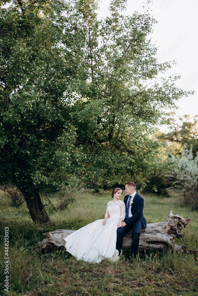 the groom and the bride are walking in the forest near a narrow river the groom and the bride are walking in the forest near a narrow river