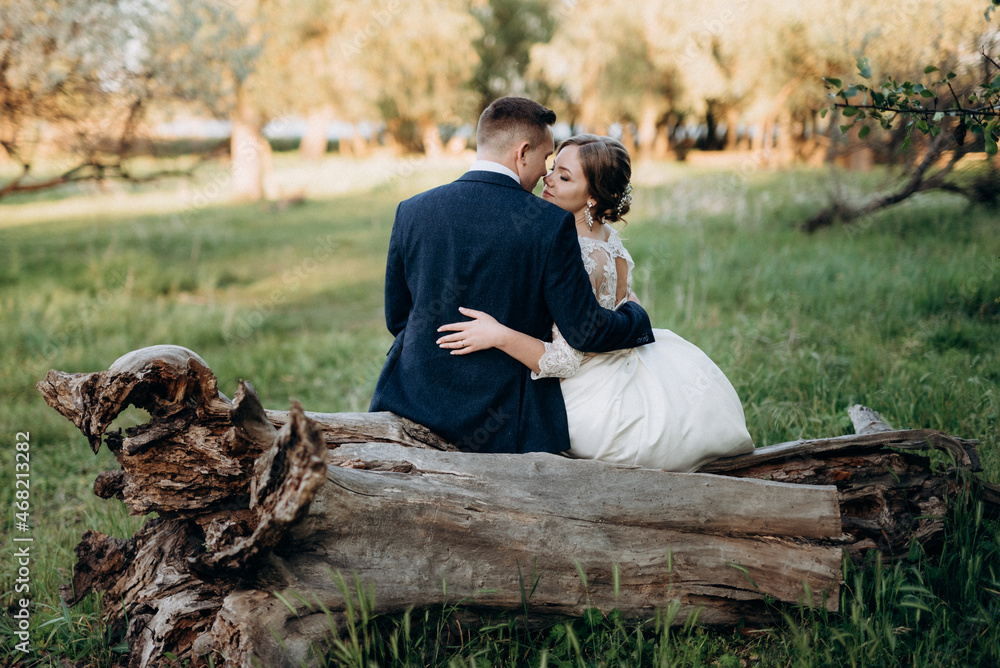 Fototapeta premium the groom and the bride are walking in the forest near a narrow river
